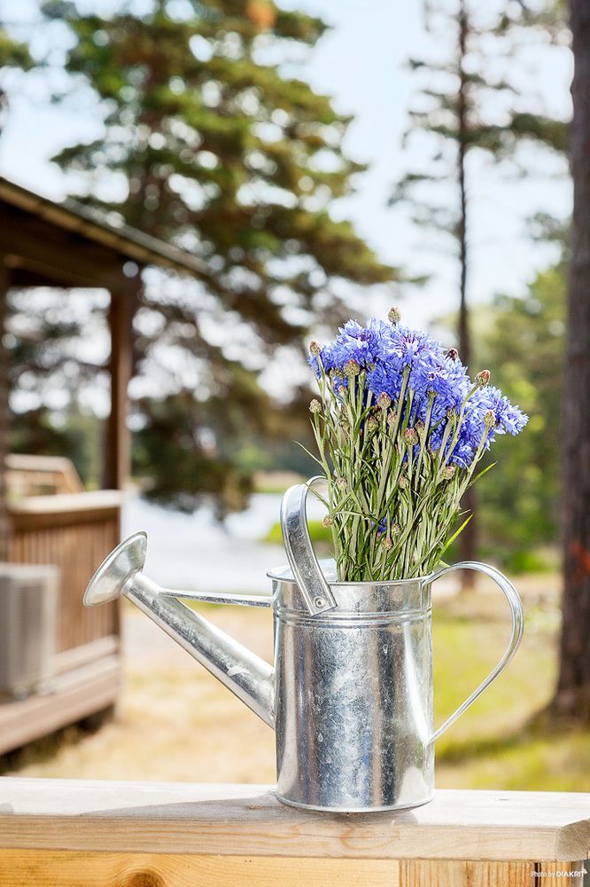 First Camp Gunnarsoe-Oskarshamn Hotel Bagian luar foto